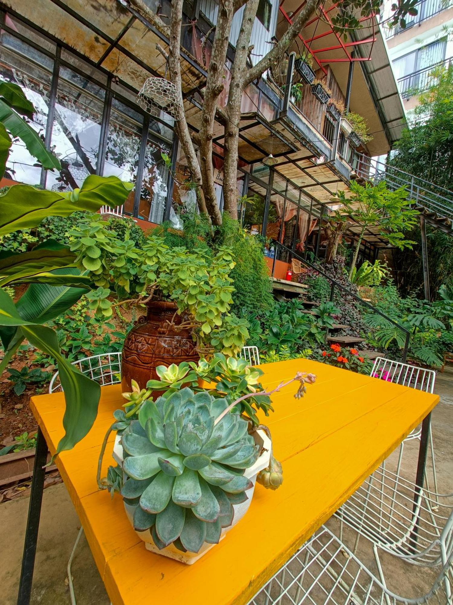 Lalaland Homestay Da Lat Room photo