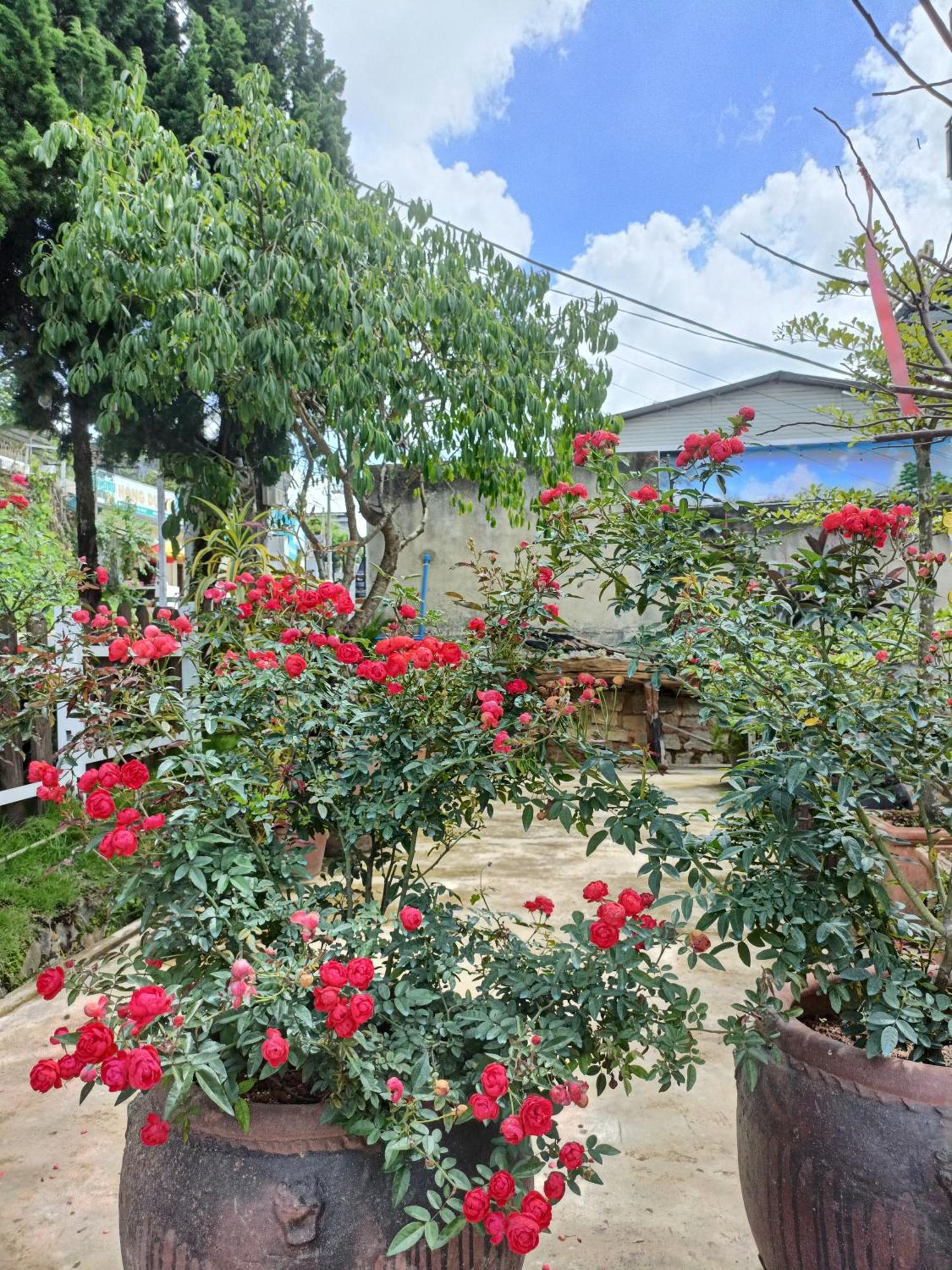 Lalaland Homestay Da Lat Exterior photo